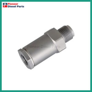 Common Rail Pressure Relief Valve 1110010007