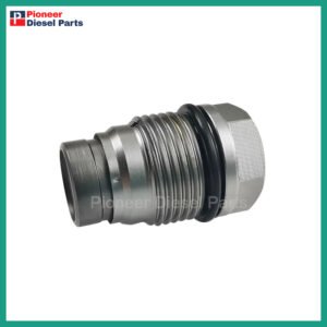 Common Rail Pressure Relief Valve 1110010009