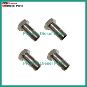 VE Injection Pump Inlet Screw 1 463 456 344