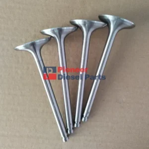 Intake Valve 1408500200800 For QUANCHAI 4B2-75M22 Engine