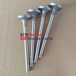 Exhaust Valve 1408500200700 For QUANCHAI 4B2-75M22 Engine