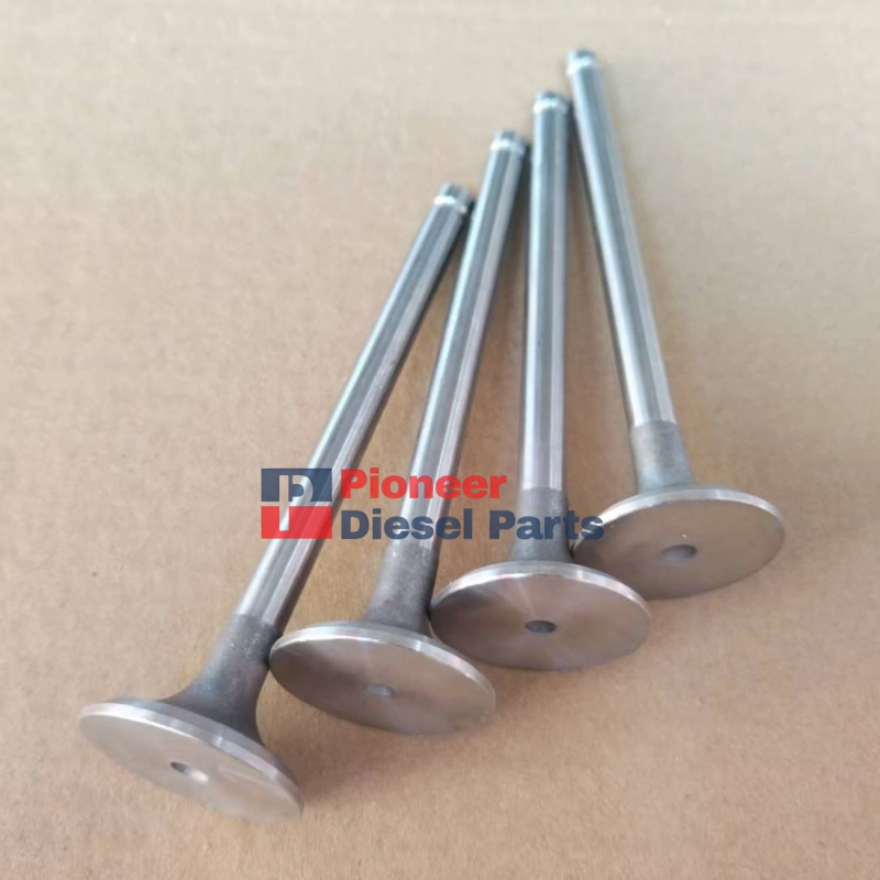 Exhaust Valve 1408500200700 For QUANCHAI 4B2-75M22 Engine