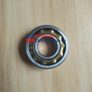 Magneto Bearing L17
